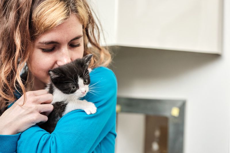 Can Your Budget Handle Another Furry Friend?