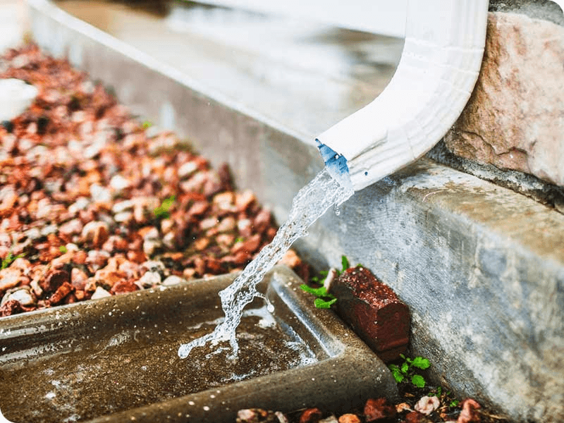 Rain Gutter Drinking