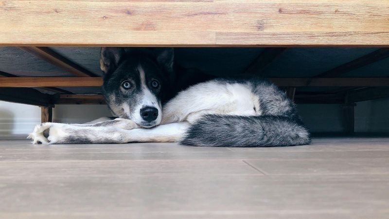 Ignoring Stress Signals Leads To Shutdown