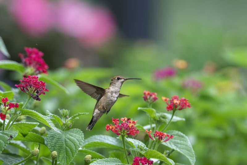 Avoid These Common Planting Mistakes