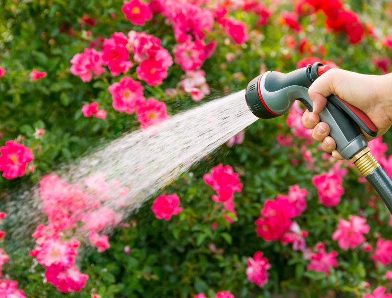 Harmful Hose Habits
