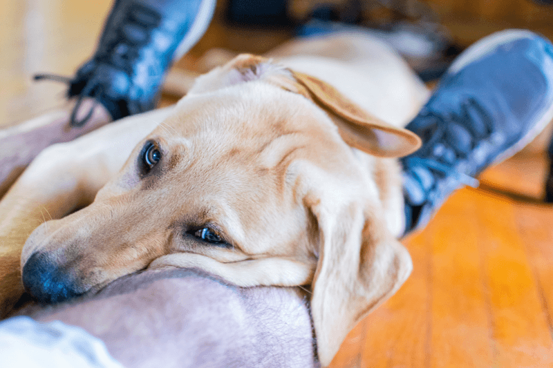 Severe Mobility Issues That Medication Can't Fix