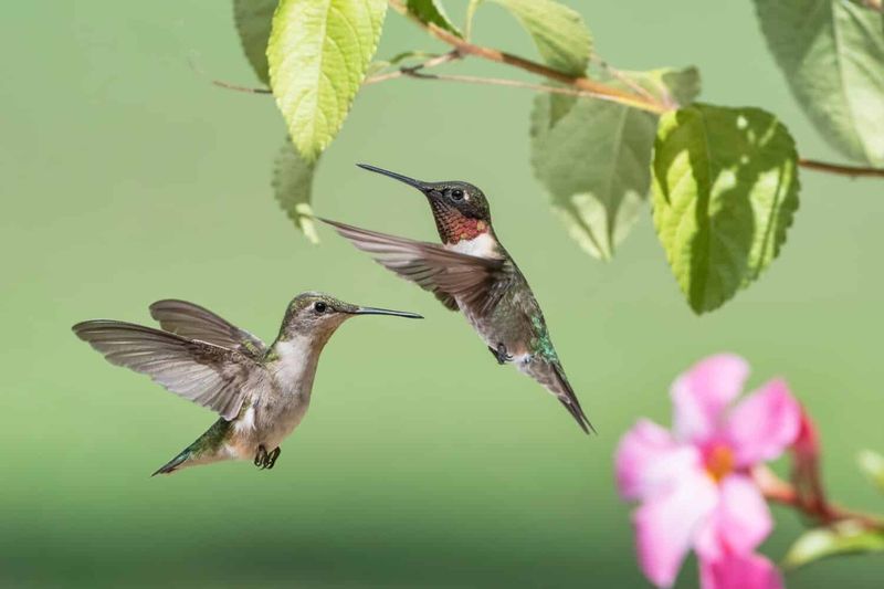 Capture Behavior, Not Just Beauty