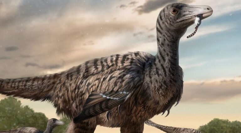Dromaeosaurs The Fearsome Raptors Of The Mesozoic Era
