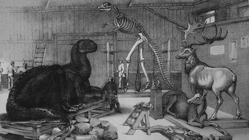 Theories From The 17th Century