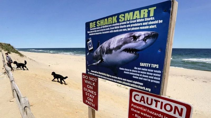 Safety Measures For Ocean Activities