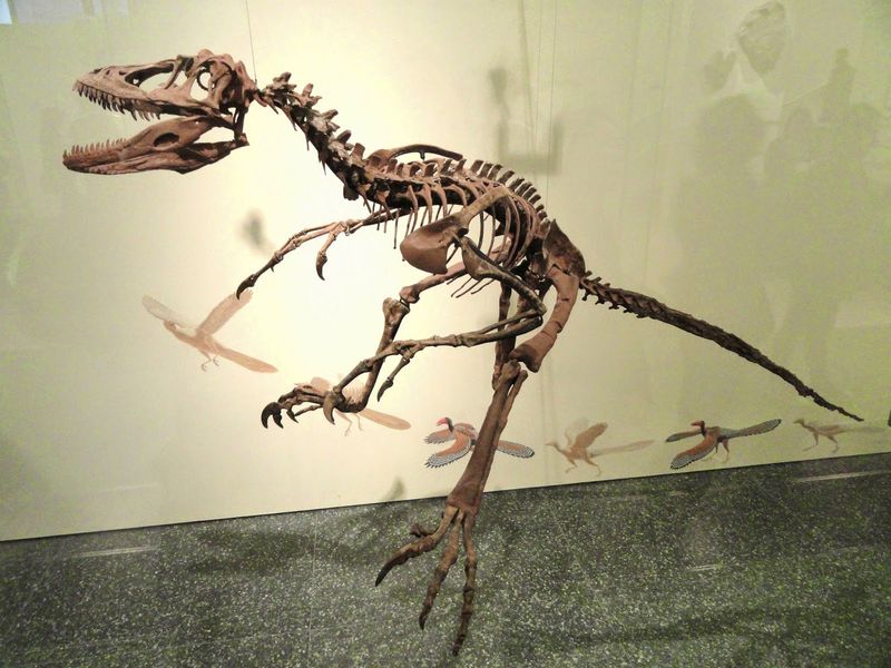 Deinonychus