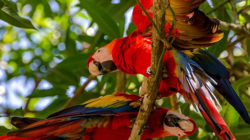 Support Ecotourism That Gives Back