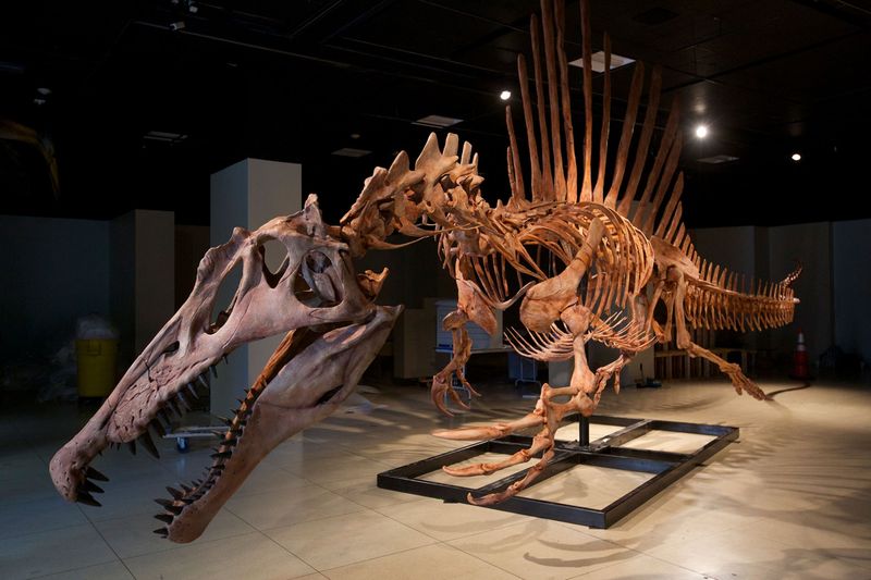 Spinosaurus: The Swimming Dinosaur Giant