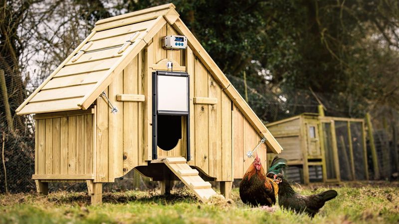 Automatic Coop Door Systems