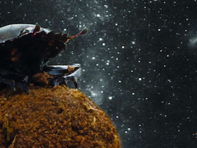 Celestial Navigation