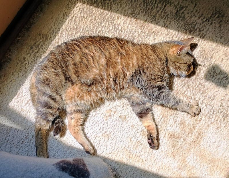 Sunbeam Therapy For Natural Warmth