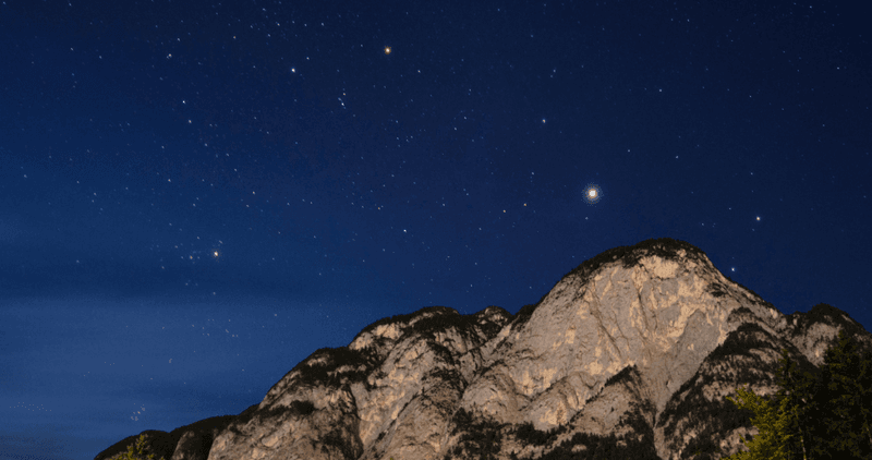 Star-Connected Creatures