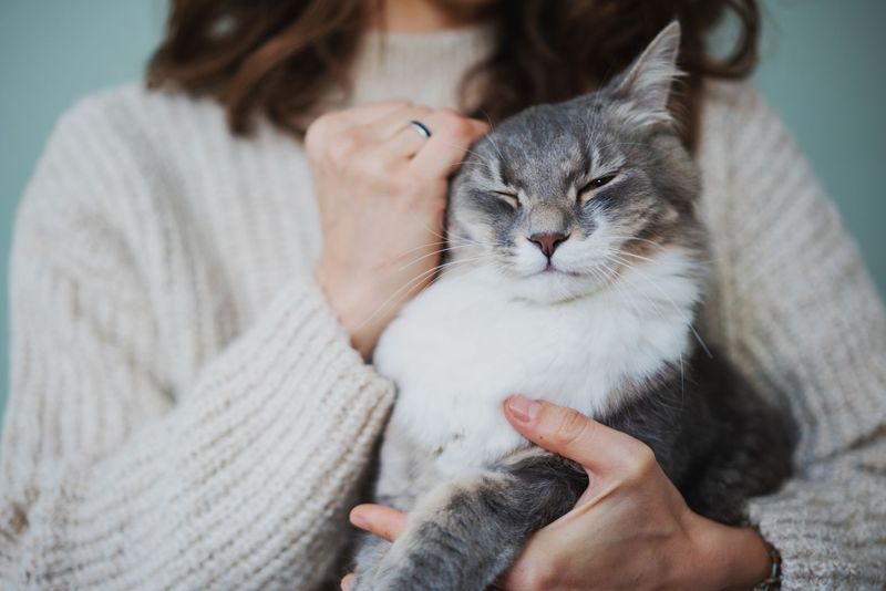 Mindfulness Masters