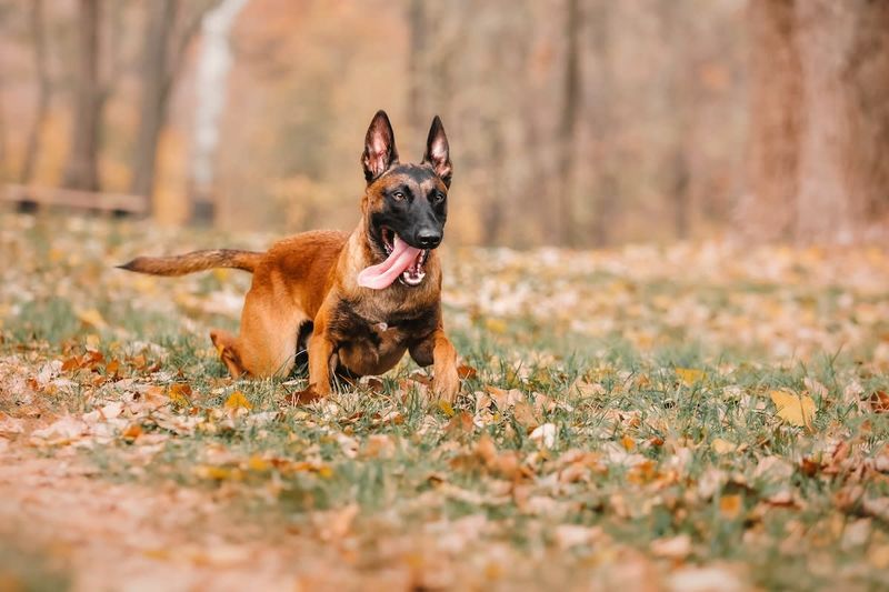 Perfect Blend Of Playfulness And Seriousness