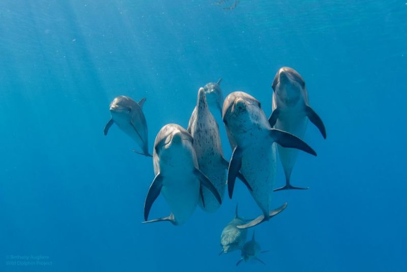 Peer Group Formation