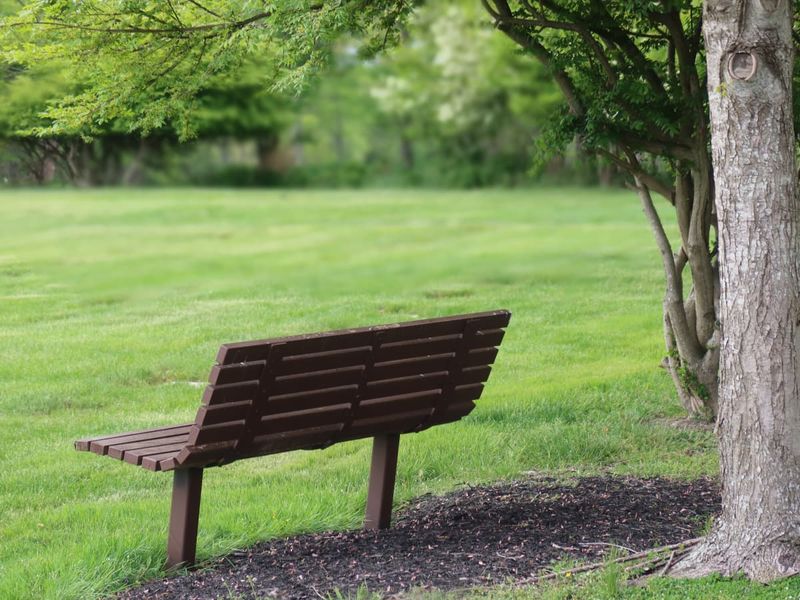 Difficult For Apartment Or Condo Dwellers