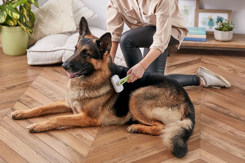 Shedding Machines On Four Legs