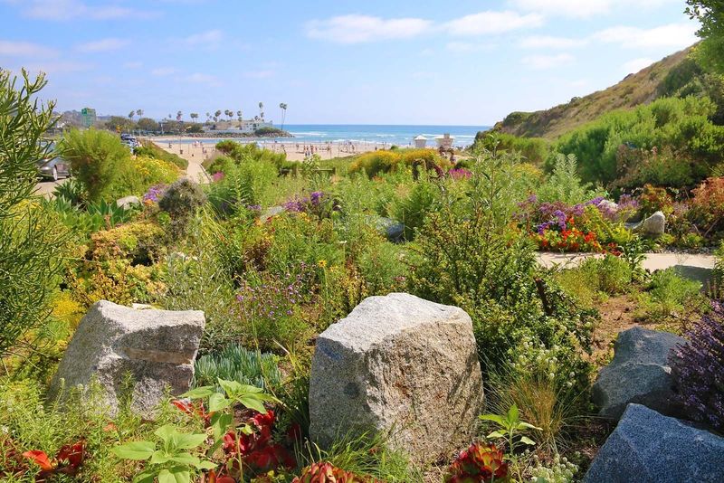 Choosing The Right Spot For Their Final Resting Place