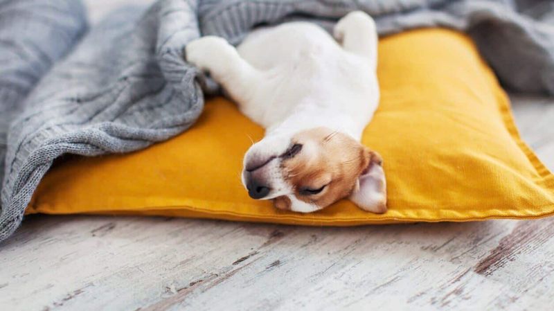 Maintaining Regular Sleep Patterns