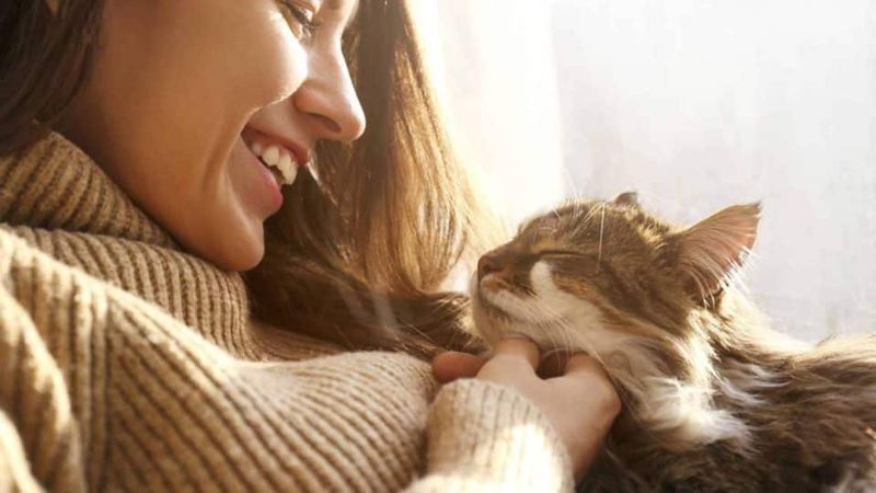 Affection-Based Behavior Shaping