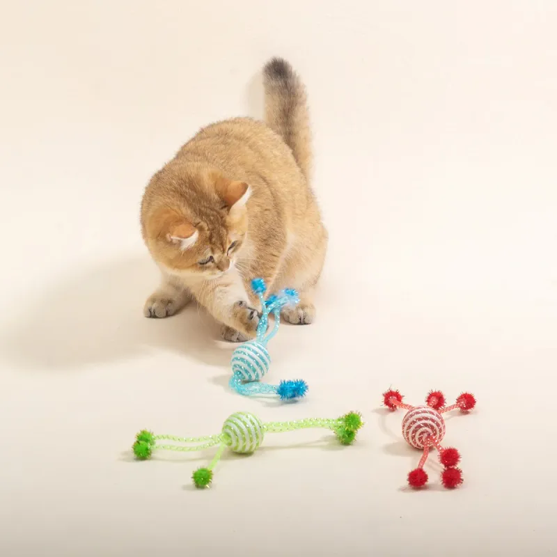 Provide Stimulating Play Opportunities