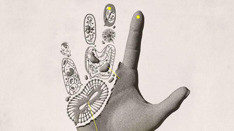 The Future Of Regenerative Medicine: What's Next?