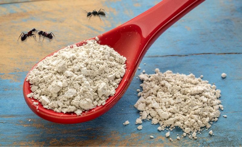Diatomaceous Earth's Deadly Dust