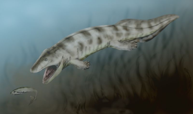Ventastega: The Crocodile-Headed Pioneer