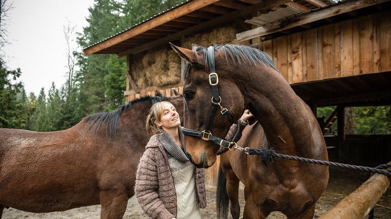 Horses Have Incredible Memory