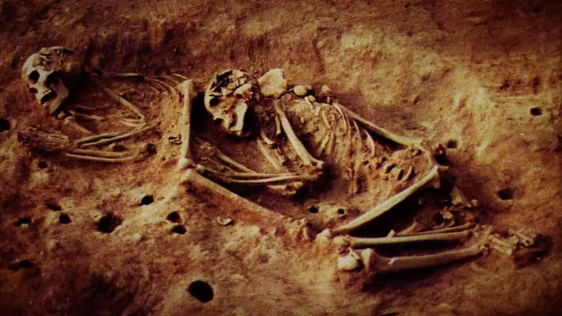 Mystery Population In European Caves