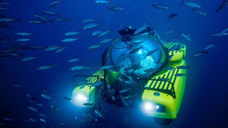 The Importance Of Deep Sea Exploration In Understanding Extreme Ecosystems