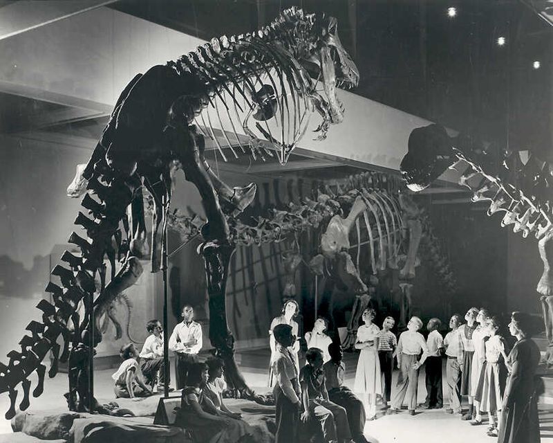 1900s And The Birth Of Modern Paleontology