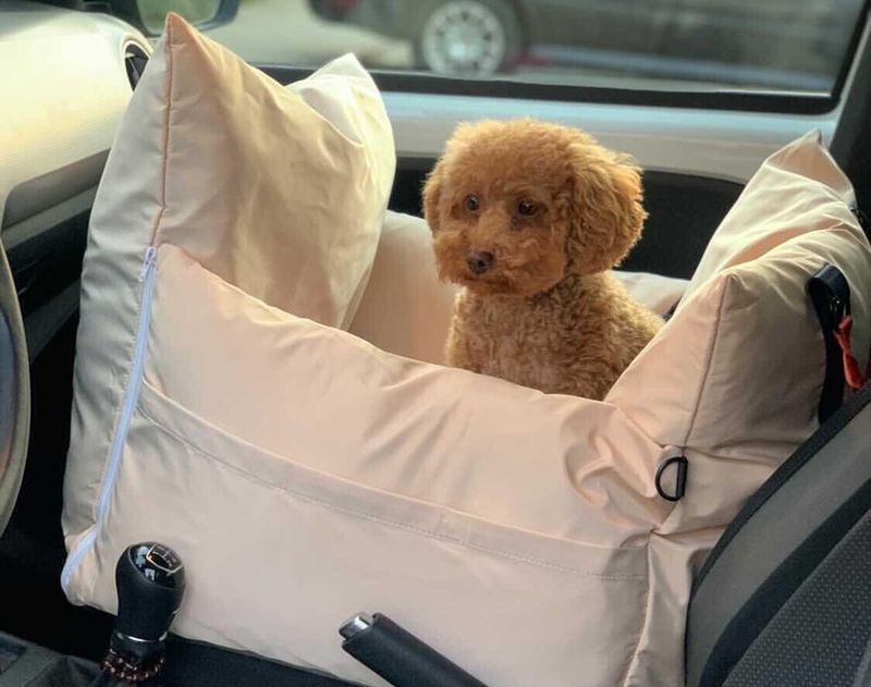 Difficult Travel Companions