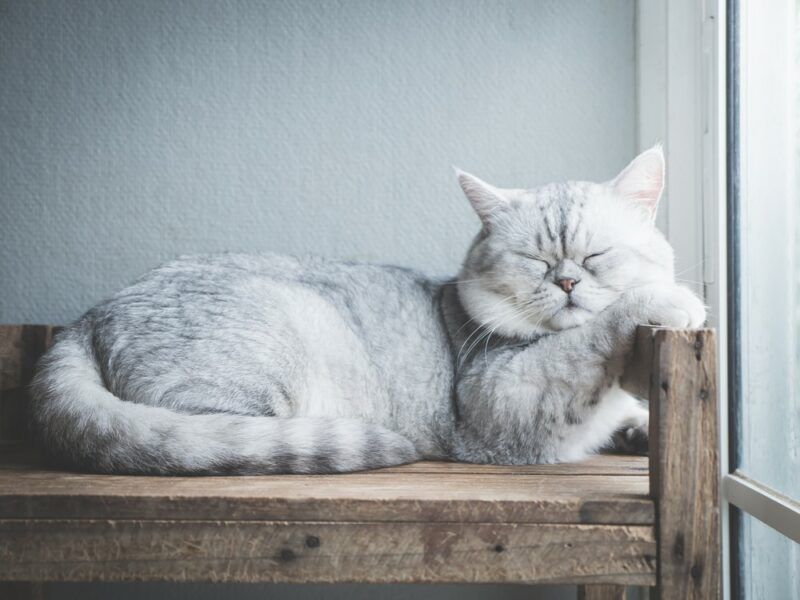 Sleep Disruptions