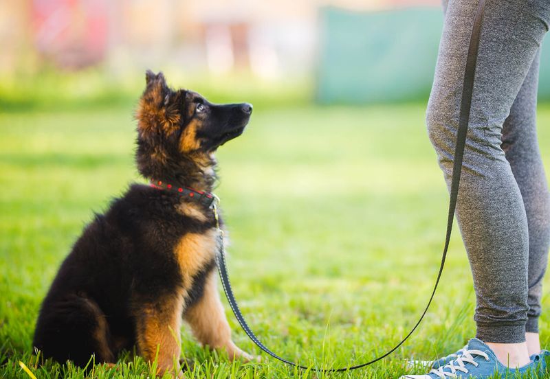 Training Is A Full-Time Job