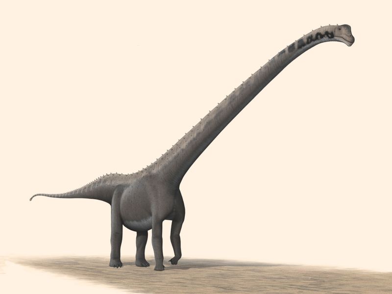 How Mamenchisaurus Adapted To Its Environment