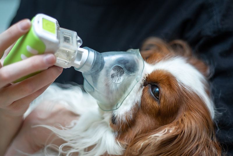 Respiratory Distress