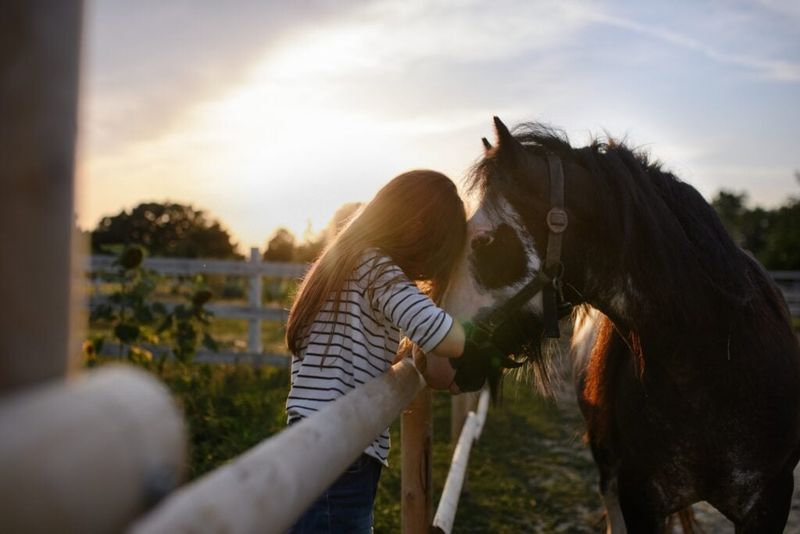 Fostering Empathy And Compassion