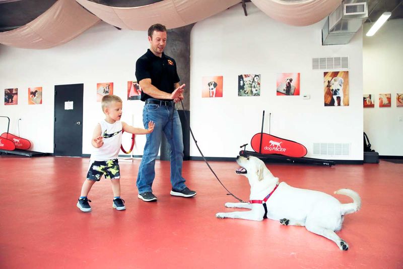 Assuming All Dogs Like Children