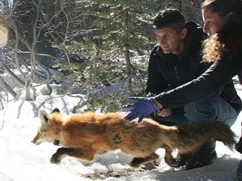 Conservation Heroes' Efforts