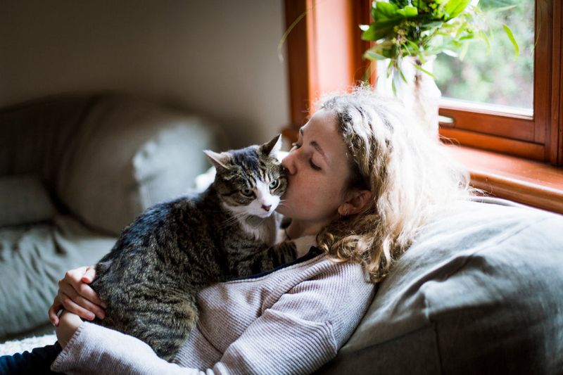 Emotional Healing Powers