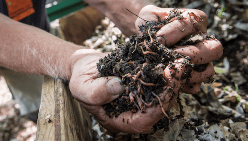 Nature's Composting Crew
