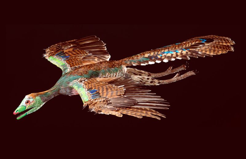 The Archaeopteryx: The Feathered Dinosaur Pioneer