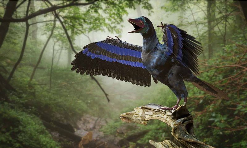 A Tiny Dinosaur That Stunned Paleontologists