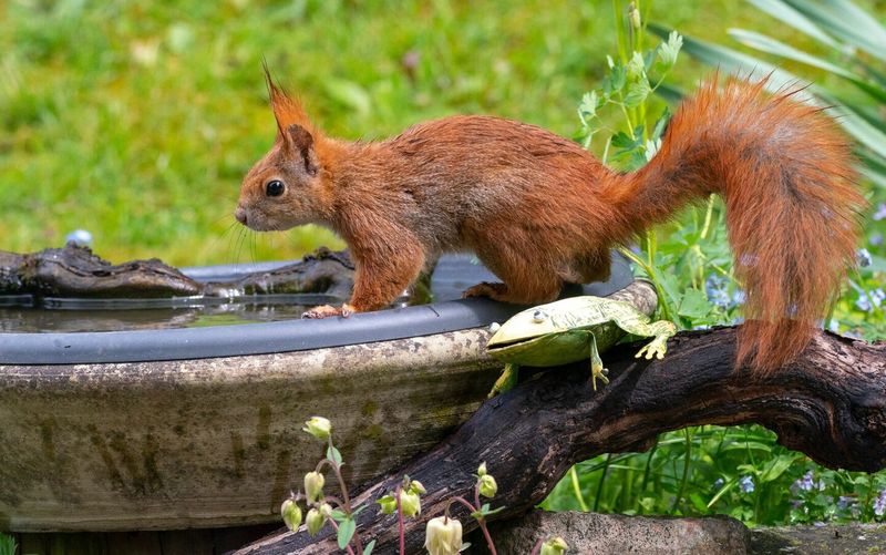 Sprinkle Your Yard With Cooling Stations