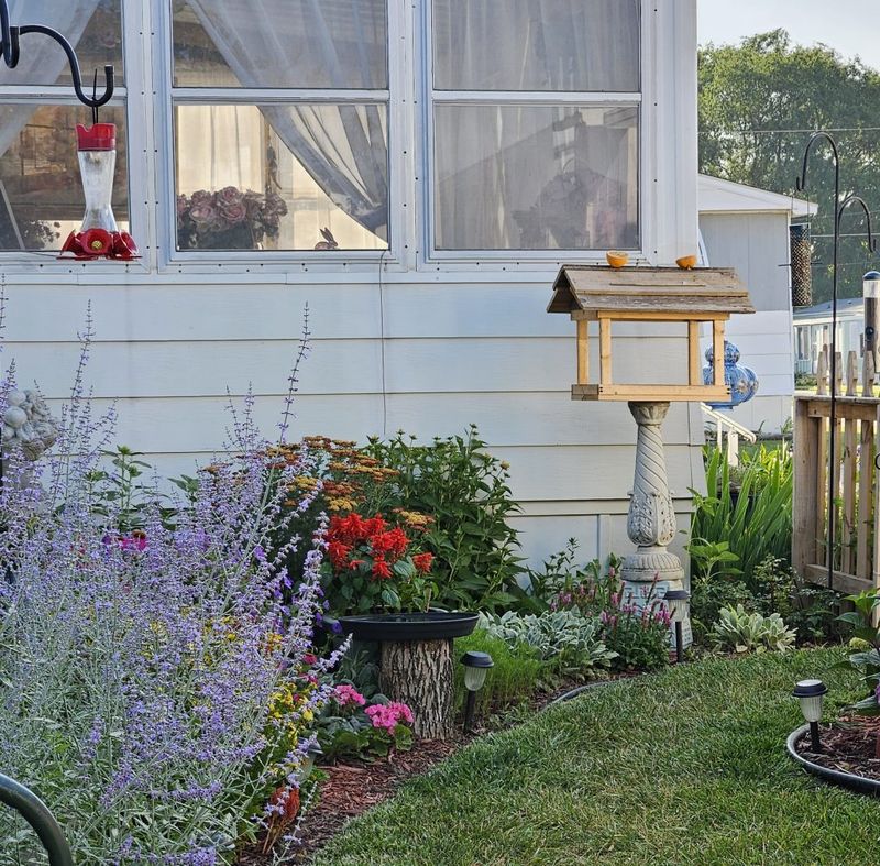 Place Feeders Away From Reflective Surfaces