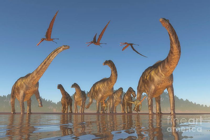 Traveling In Thundering Herds