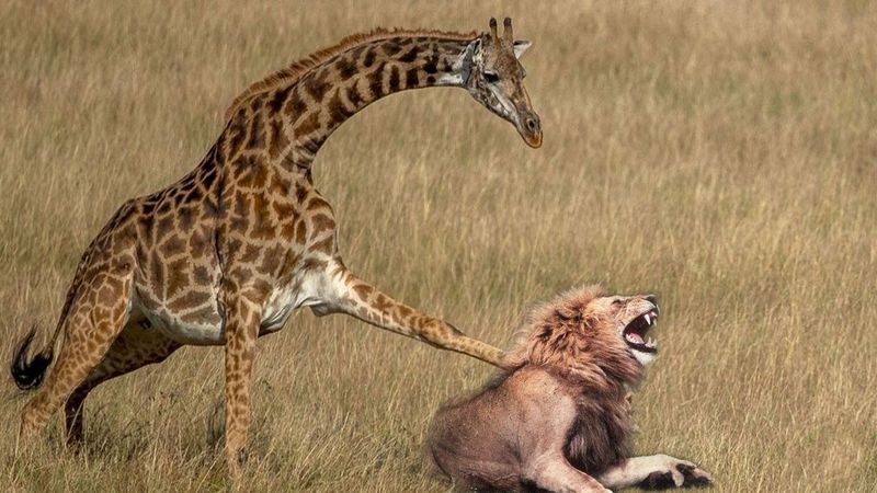 Powerful Kick Defense