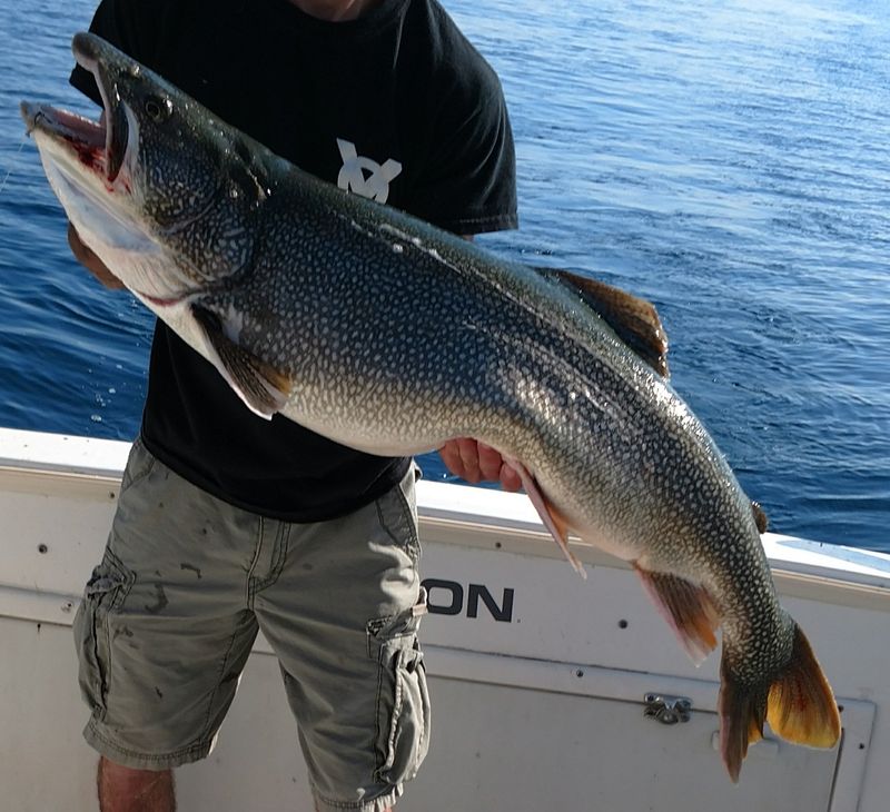 Rare To Catch Fish Older Than 30 Years
